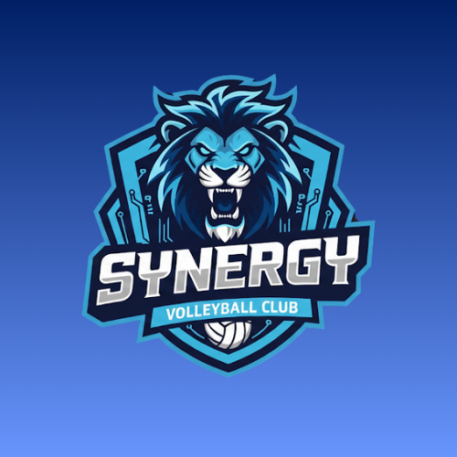 SYNERGY3